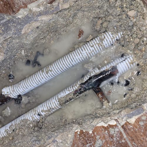 20220111_110914 mini