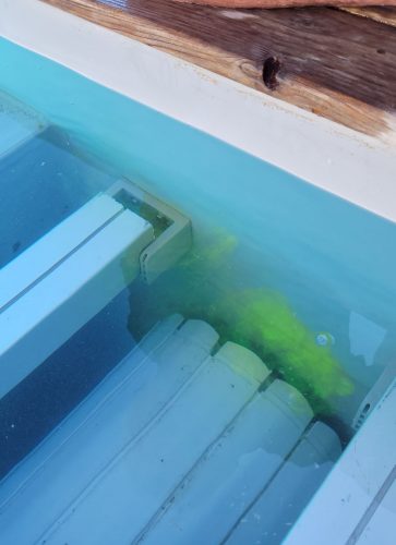 Utilisation de la fluorescéine afin de localiser une fuite d'eau dans la piscine d'une maison à Royan.